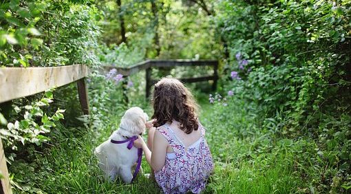 Melhores cães de porte pequeno para as crianças