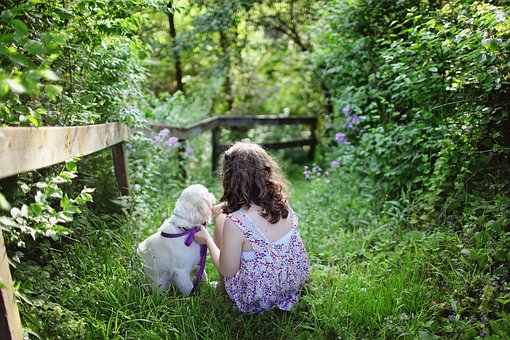 Melhores cães de porte pequeno para as crianças